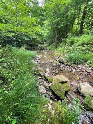 00 Greenlee Rd, Lot #1 , PA Plot of land Active - Photo 1 of 6. Opens carousel modal
