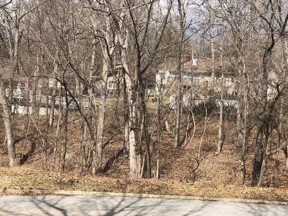 000 N Lavista Court Springfield, MO Plot of land Sold - Photo 1 of 1. Opens carousel modal