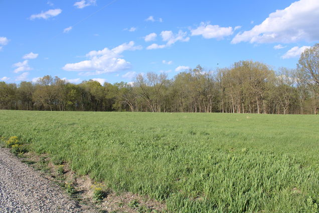 0000 NW 401 Road Clinton, MO Plot of land Sold - Photo 1 of 27. Opens carousel modal