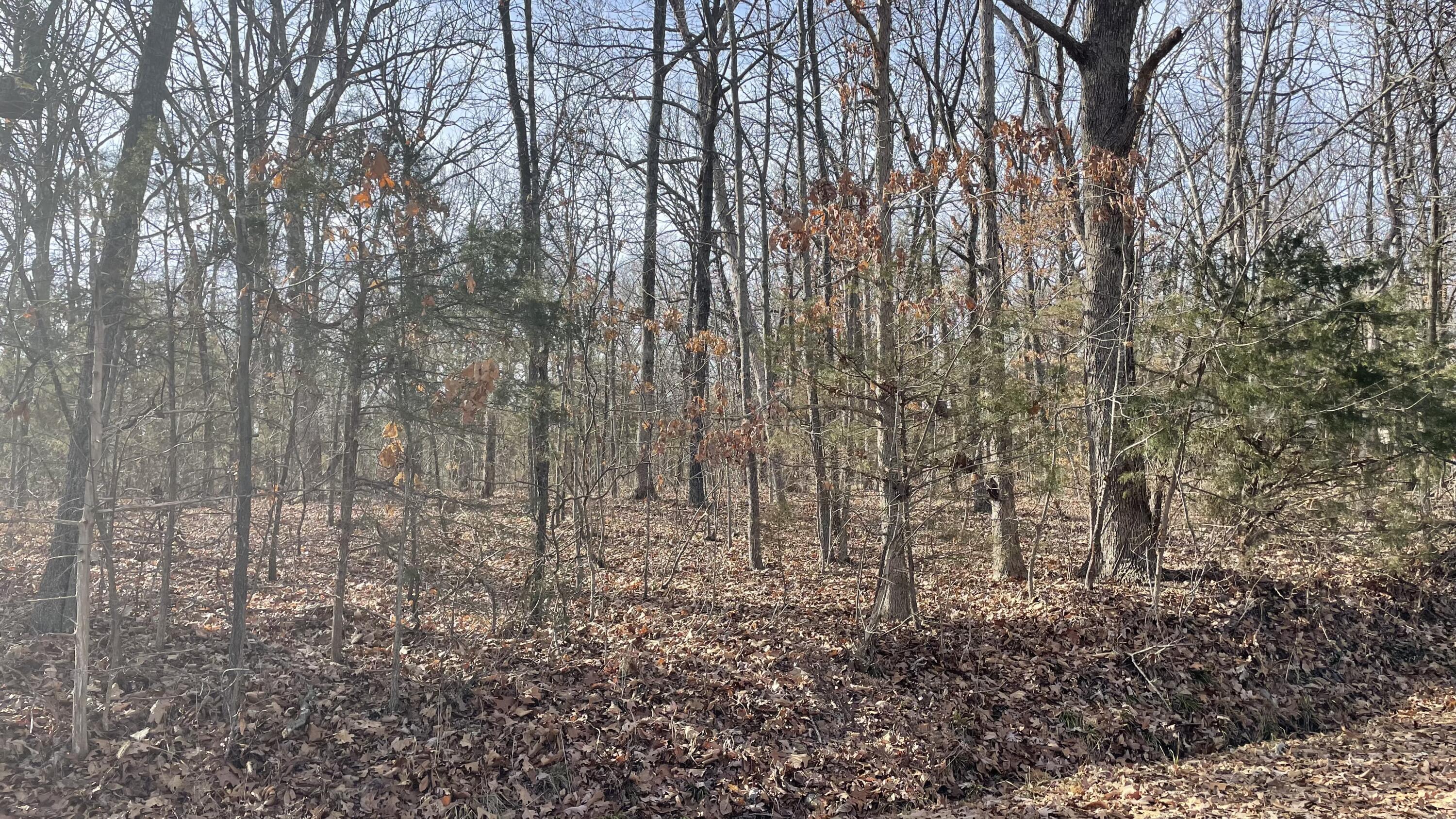 000 E 400th Rd, Bolivar, MO 65613 Estately 🧡 MLS 60247062