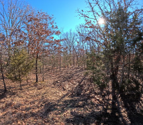 Tract P Galaxy Lane Lane Lebanon, MO Plot of land Active - Photo 1 of 22. Opens carousel modal
