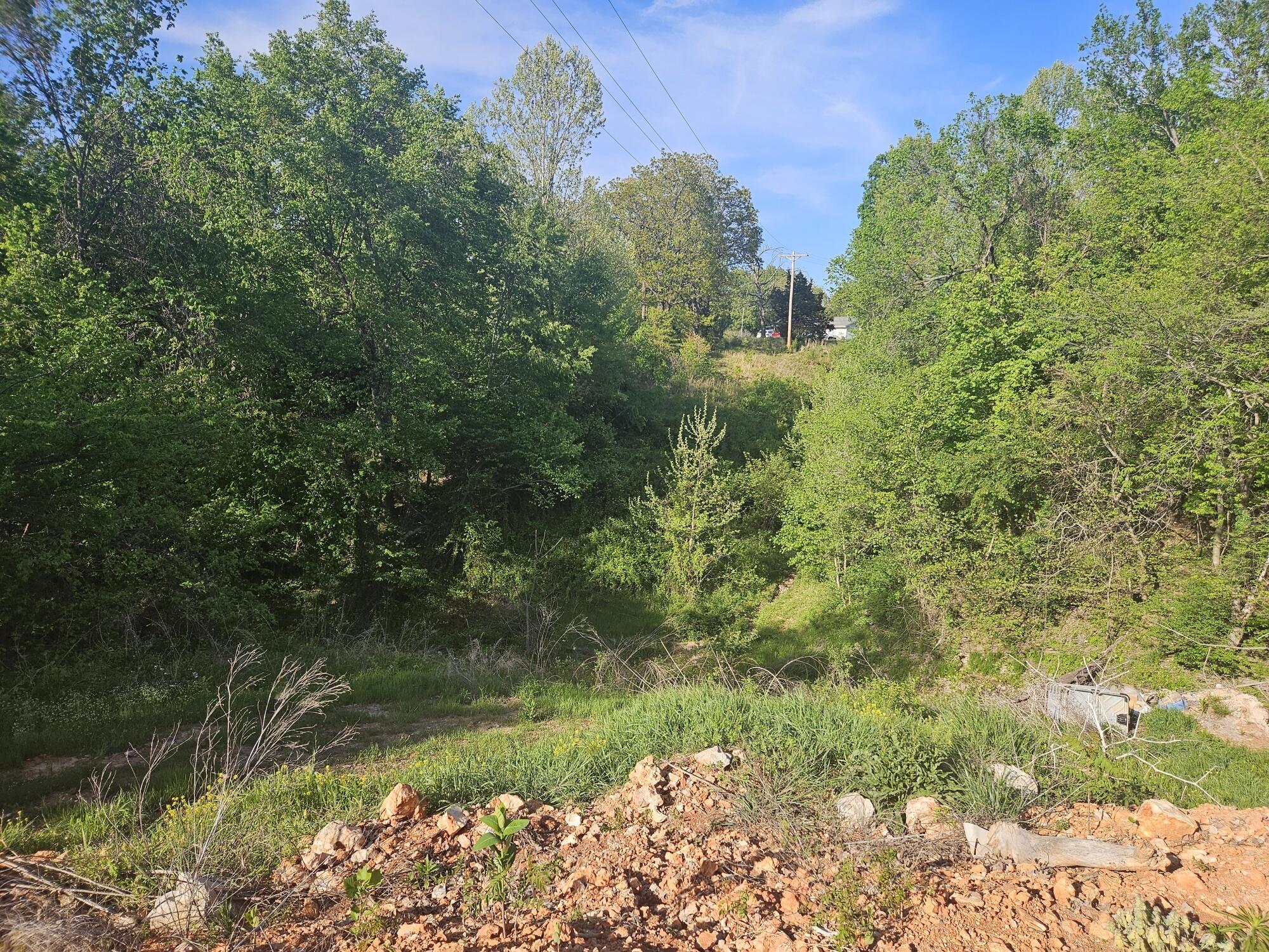 435 Pleasant Ridge Rd, Pineville, MO 64856 Estately 🧡 MLS 60266528