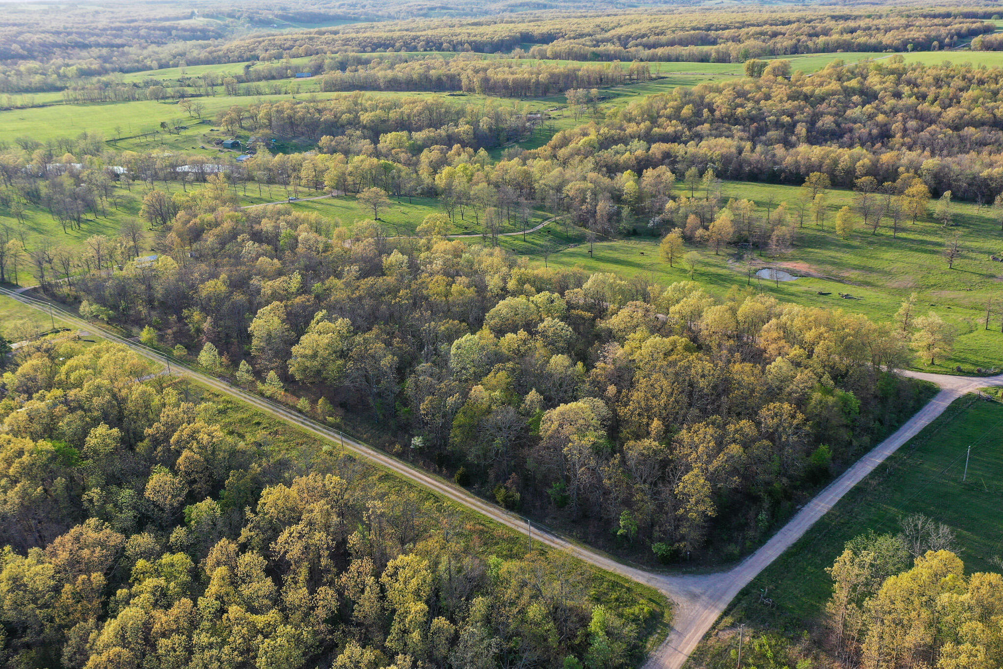 000 16th Ln, Niangua, MO 65713 Estately 🧡 MLS 60266724