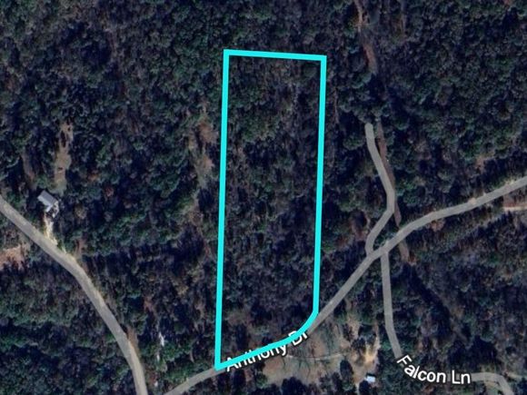 9 +/ Anthony Lane Pineville, MO Plot of land Active - Photo 1 of 7. Opens carousel modal