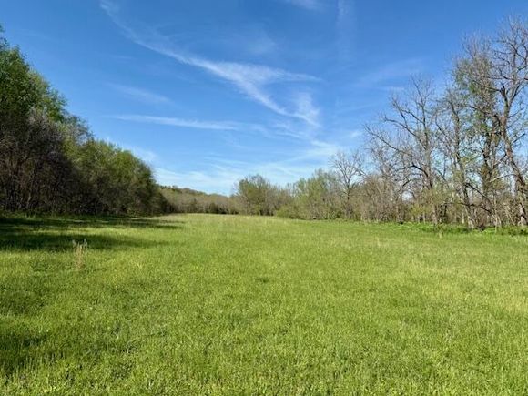 000 County Road 117 Ava, MO Plot of land Sold - Photo 1 of 12. Opens carousel modal