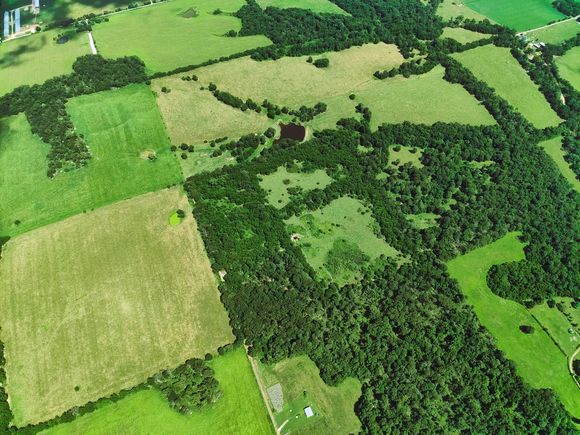 000 Oliver Ln Stark City, MO Plot of land Active - Photo 1 of 6. Opens carousel modal