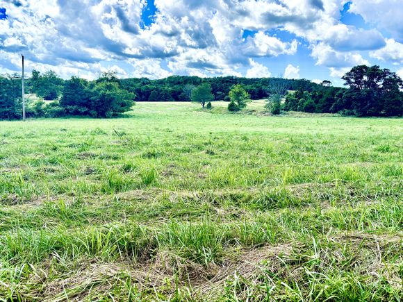 001 Tbd County Road 900 Theodosia, MO Plot of land Active - Photo 1 of 16. Opens carousel modal