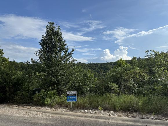 344 Emerald Crst Hollister, MO Plot of land Active - Photo 1 of 3. Opens carousel modal