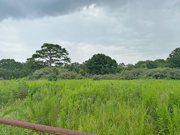000 Lay Rd Houston, MO Plot of land Active - Photo 1 of 2. Opens carousel modal