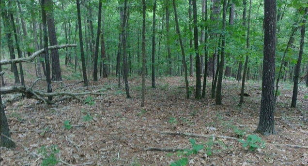 481 Timberline Road Willow Springs, MO Plot of land Active - Photo 1 of 18. Opens carousel modal