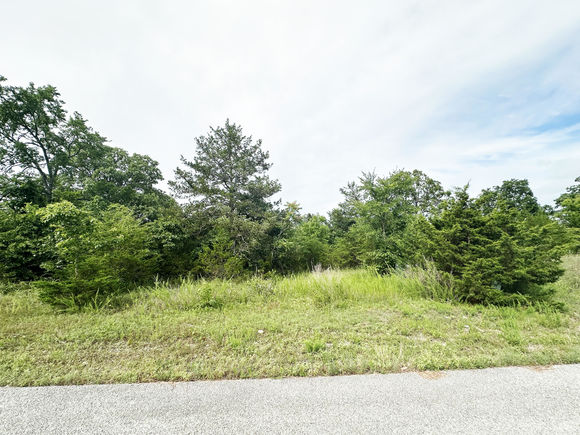 235 Shady Oaks Shore Unit Lot 45 Forsyth, MO Plot of land Active - Photo 1 of 3. Opens carousel modal