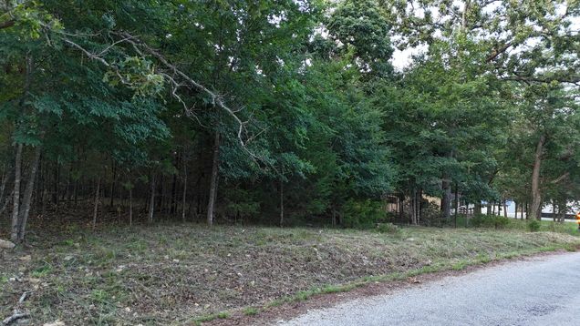 227 & 228 East Mockingbird Drive Golden, MO Plot of land Active - Photo 1 of 18. Opens carousel modal