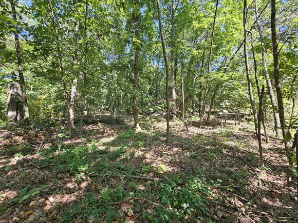 65 Acres Plainview Road Anderson, MO Plot of land Active - Photo 1 of 28. Opens carousel modal