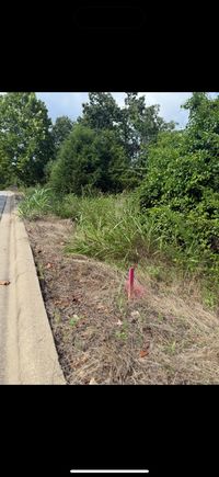 207 Timber Court Hollister, MO Plot of land Active - Photo 1 of 4. Opens carousel modal