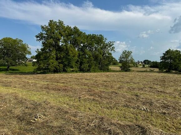 000 E Farm Rd 194 Rogersville, MO Plot of land Active - Photo 1 of 7. Opens carousel modal