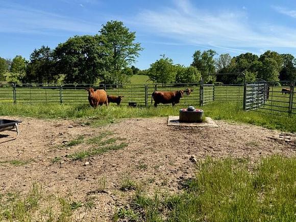 6557 Stoops Rd, Summersville, MO 65571 | MLS# 60323899