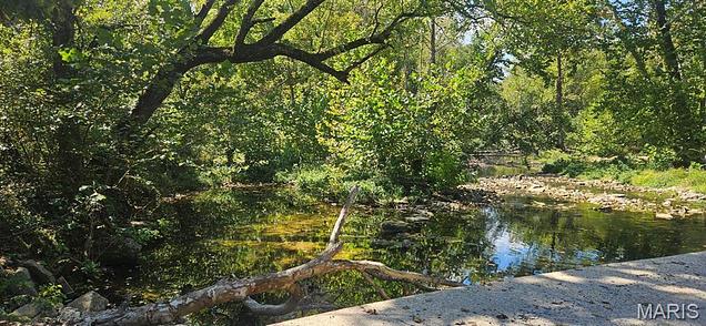 000 Brushy Creek Rd, Houston, MO 65483 | MLS# 60336872