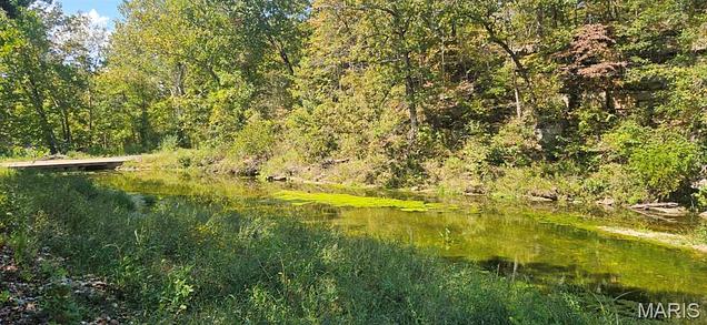 000 Brushy Creek Rd, Houston, MO 65483 | MLS# 60336872