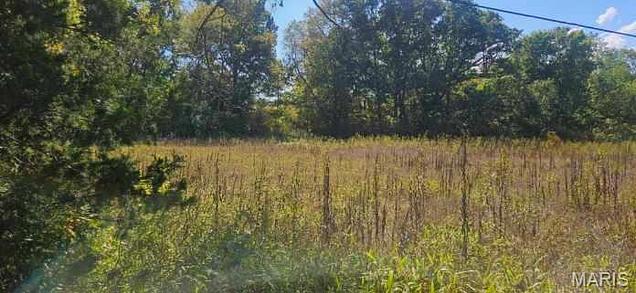 000 Brushy Creek Rd, Houston, MO 65483 | MLS# 60336872