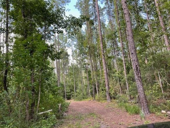 0 Highway 29 Andalusia, AL Plot of land Active - Photo 1 of 9. Opens carousel modal