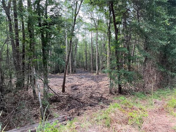 00 Fowl River Road Theodore, AL Plot of land Active - Photo 1 of 1. Opens carousel modal