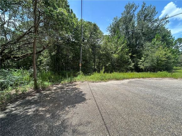 10790 Cattle Branch Court Mobile, AL Plot of land Active - Photo 1 of 12. Opens carousel modal