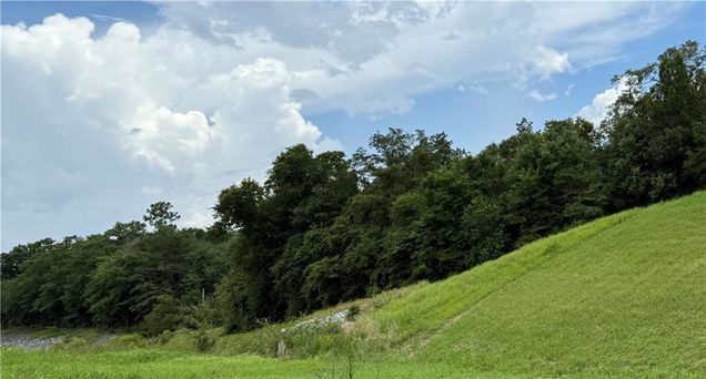 0 Fairview Drive Wilmer, AL Plot of land Active - Photo 1 of 1. Opens carousel modal