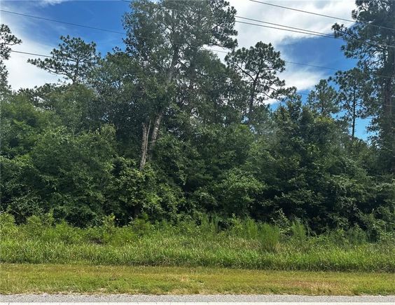0 Shelton Beach Road Saraland, AL Plot of land Active - Photo 1 of 1. Opens carousel modal