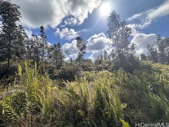 0000 Bamboo Drive Pahoa, HI Land Contingent - Photo 1 of 8. Opens carousel modal