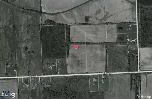 Foley Rd Foley Road Emmett, MI Plot of land Sold - Photo 1 of 1. Opens carousel modal
