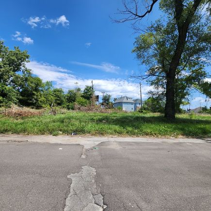 8940 Cameron Street Detroit, MI Plot of land Active - Photo 1 of 8. Opens carousel modal