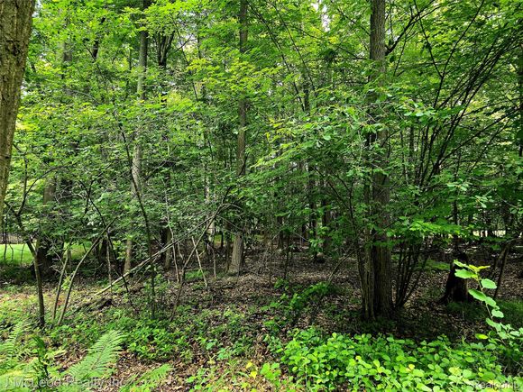 29240 S Aldrich Road Pickford, MI Plot of land Active - Photo 1 of 2. Opens carousel modal