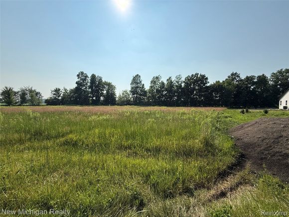 9807 Oak Ridge Road NewLothrop, MI Plot of land Active - Photo 1 of 10. Opens carousel modal