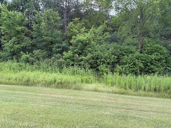 0 Vienna Clio, MI Plot of land Active - Photo 1 of 6. Opens carousel modal