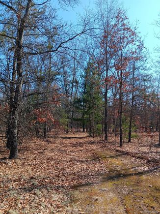 0000 Cedar Creek Road Wellston, MI Plot of land Active - Photo 1 of 15. Opens carousel modal