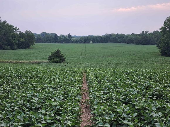 5000 Forrister Road Adrian, MI Plot of land Active - Photo 1 of 6. Opens carousel modal