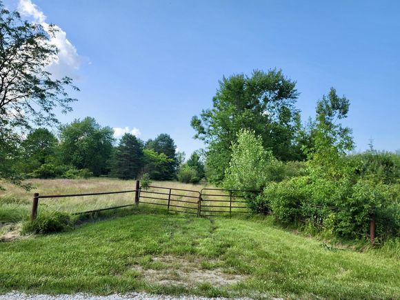 Vacant Springborn Road Casco, MI Plot of land Active - Photo 1 of 9. Opens carousel modal