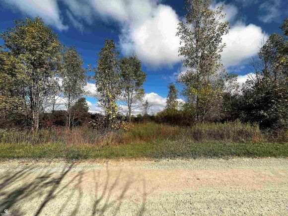 12274 Griffin Road Riley, MI Plot of land Active - Photo 1 of 7. Opens carousel modal