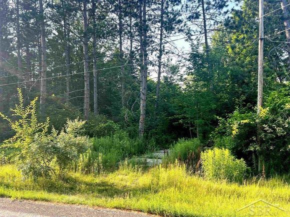 940 W Ingham Road Sanford, MI Plot of land Active - Photo 1 of 6. Opens carousel modal