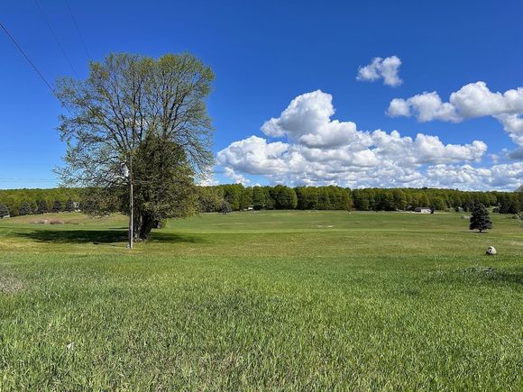 Unit 10 W Eddy School Road Bellaire, MI Plot of land Sold - Photo 1 of 1. Opens carousel modal