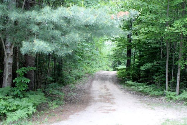 1016 Woodchuck Drive Mancelona, MI Land Active - Photo 1 of 41. Opens carousel modal