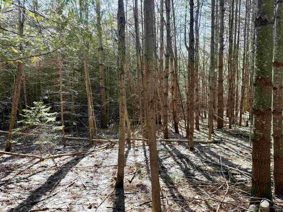 161 W Nachazel Road MapleCity, MI Land Active - Photo 1 of 25. Opens carousel modal