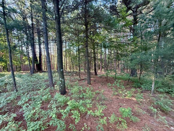 015 S Westview Drive Empire, MI Plot of land Active - Photo 1 of 16. Opens carousel modal