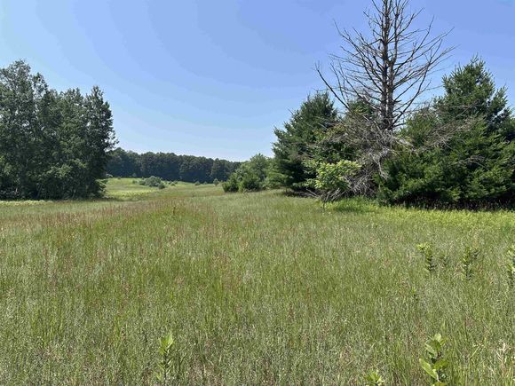 Parcel 1 Bright Road MapleCity, MI Plot of land Active - Photo 1 of 6. Opens carousel modal