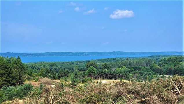Parcel D Cemetery Road Alden, MI Plot of land Active - Photo 1 of 13. Opens carousel modal