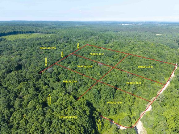 12 A Hill Crest Drive Elmira, MI Land Active - Photo 1 of 38. Opens carousel modal