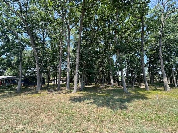 0 Bright Angel Drive Prudenville, MI Plot of land Active - Photo 1 of 6. Opens carousel modal