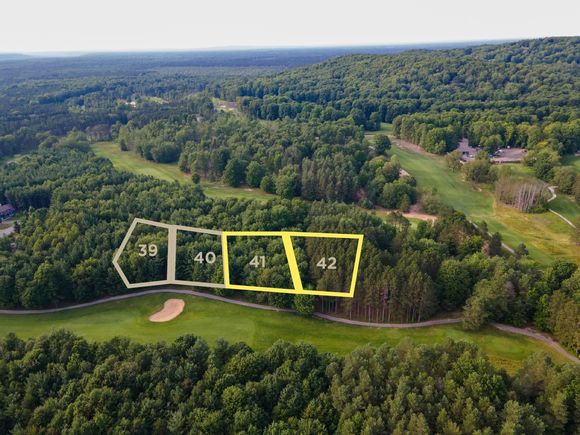 0000 41 & 42 Trailside Drive Thompsonville, MI Plot of land Active - Photo 1 of 13. Opens carousel modal