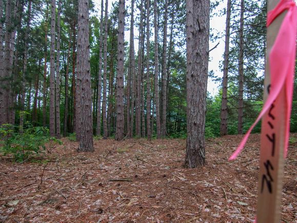 0000 41 amp 42 Trailside Dr Thompsonville - 217 78080059849 11 1752949589 636x435