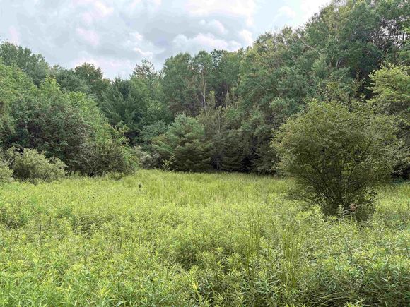 11546 E 3 1/2 Road Luther, MI Plot of land Active - Photo 1 of 7. Opens carousel modal